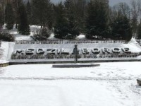 /album/fotogaleria/mesto-medzilaborce-medzilaborce-warhol-city-jpeg/